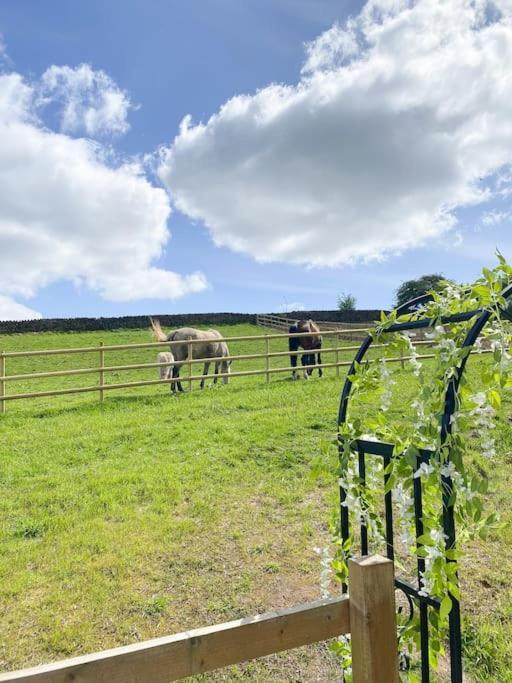 Luxury Detached Peak District Stone Barn - Dog Friendly Villa Hazelwood Exterior photo